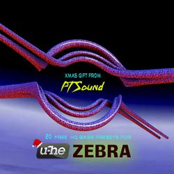 PT Sound - Zebra Xmas 2015 by Payam Tavakoli